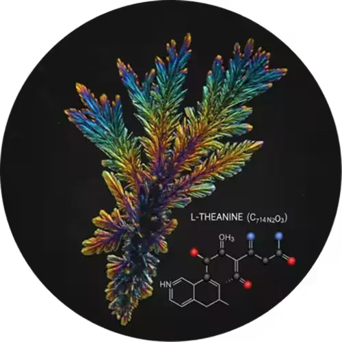 MemoryFuel  Ingredient2