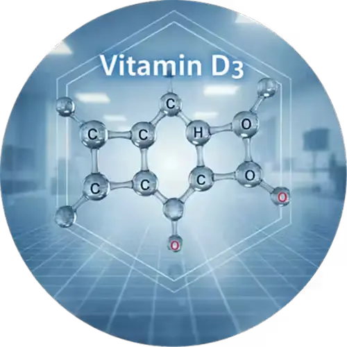 MemoryFuel  Ingredient5